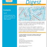 Charting Sustainable Peace and Growth in Somalia: The Need for an Integrated and Holistic Approach